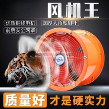 ���I���Ś��ȏN���͟��ܵ����L�C�����S�����L�ȸ��وAͲ�ΓQ����