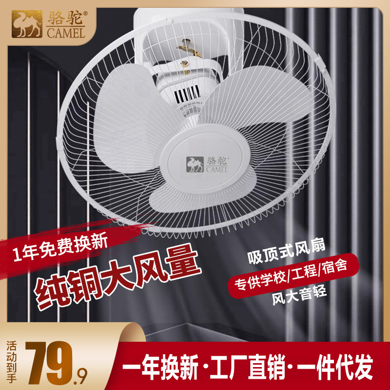 Camel Ceiling Fan, Roof Fan, Household Ceiling Fan, Living Room Ceiling Fan, School Shaking Head Electric Fan, Silent Remote Control Fan
