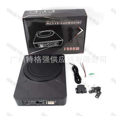 Audio Modification 10inch 12V: Car speaker/subwoofer