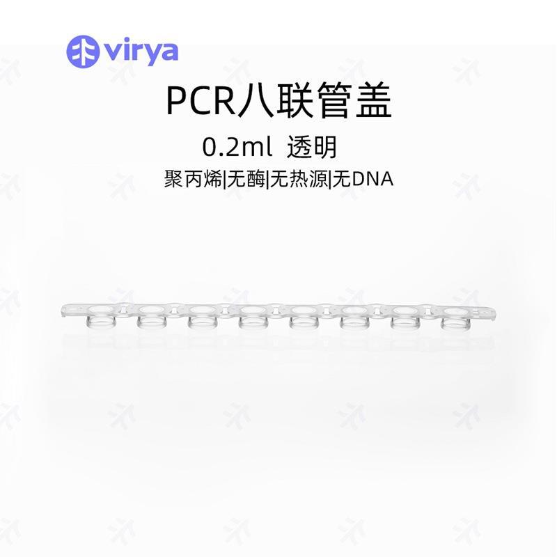 现货荧光定量PCR八连管盖0.1ml光学平盖透明管壁PCR八联排