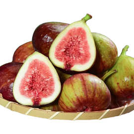 四川云南无花果产地直发波姬红无花果包邮新鲜水果无花果一件代发