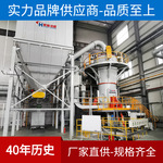 立磨磨粉机 碳化硅微粉加工设备 800-2000目 大型工业超细磨粉机