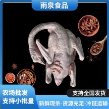 新鲜正宗狮头鹅食品工厂批发现切速冻大鹅头生鲜鹅脖子卤水卤味