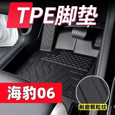 Suitable for BYD Seal 06, these TPE Modelə uyğun ayaqaltı
