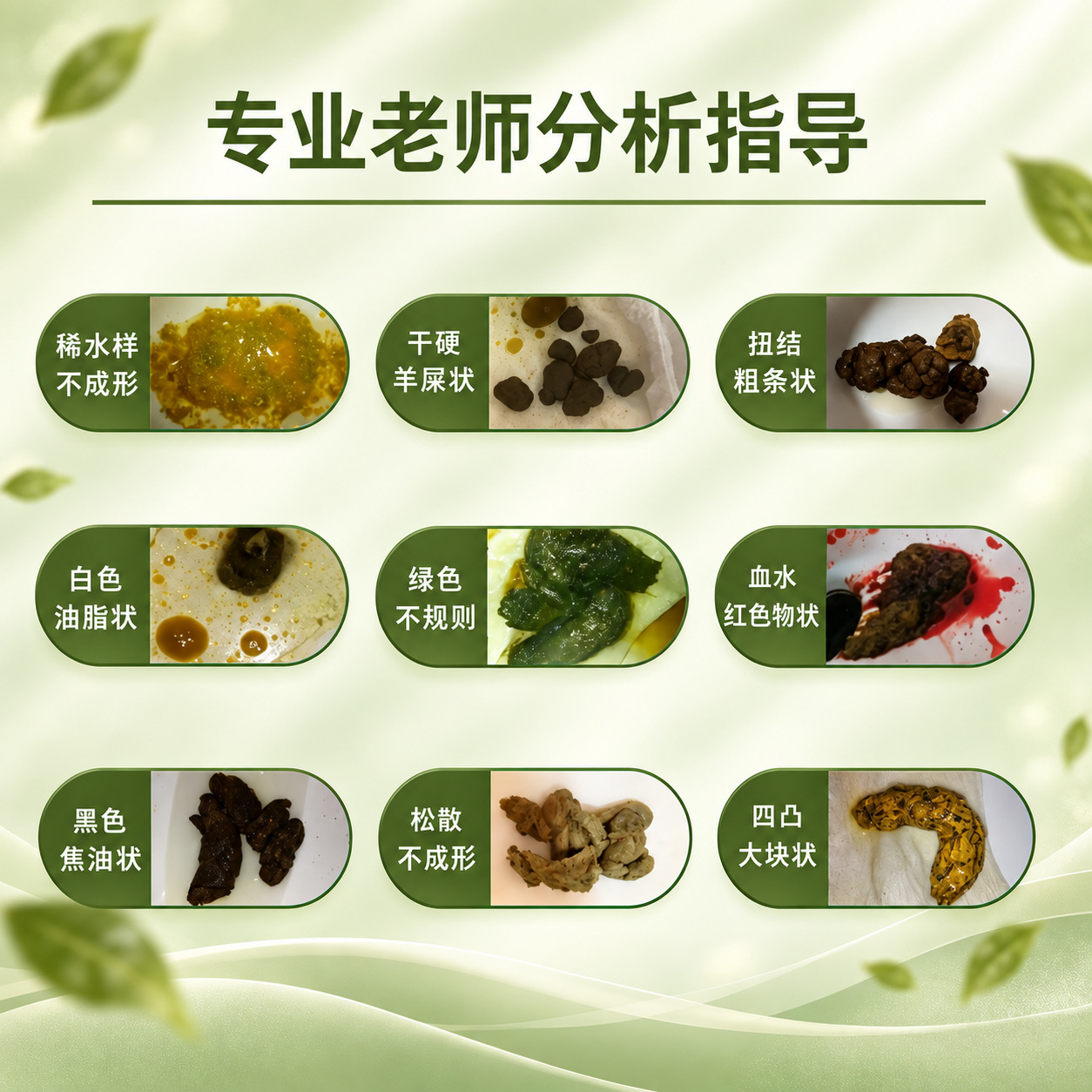 Probiotic Grain & Fruit-Vegetable Enzyme Powder — Fermented Fiber Drink Mix quality and texture
