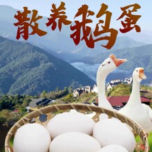 农家鹅蛋12枚80-100g当天鲜蛋土散养鹅蛋大去处子笨新鲜孕妇