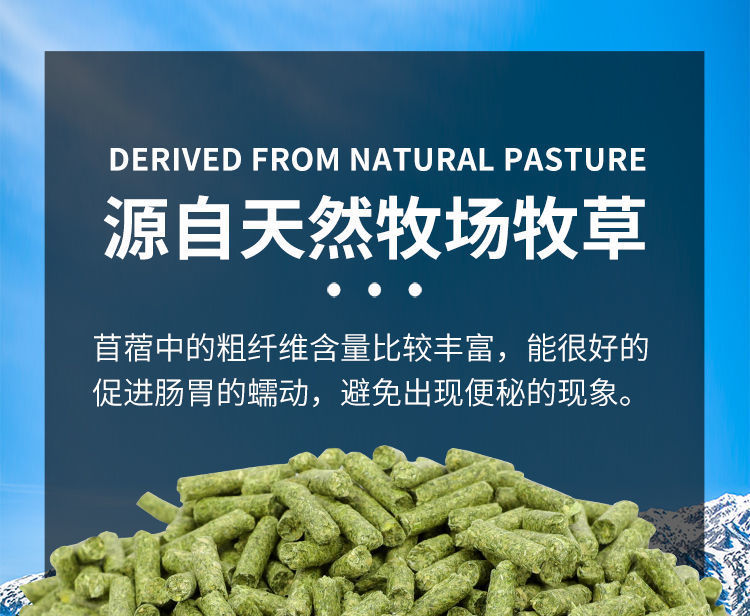 ca4a6001-166c-4f0f-9f95-42cd4a9269cd.jpe