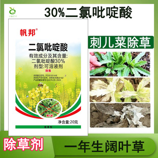 30%�����������݄��Ͳ������݄��rș