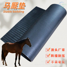 ������ĥţ���������z�؉|���ϻ��ߏ��p�����m����|�����R���|