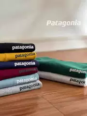 Cross-Border Quality Bata Pata New P-6 Mountain Men's and Women's Classic Outdoor T-Shirt Letter Print Sports Trendy Short Sleeves