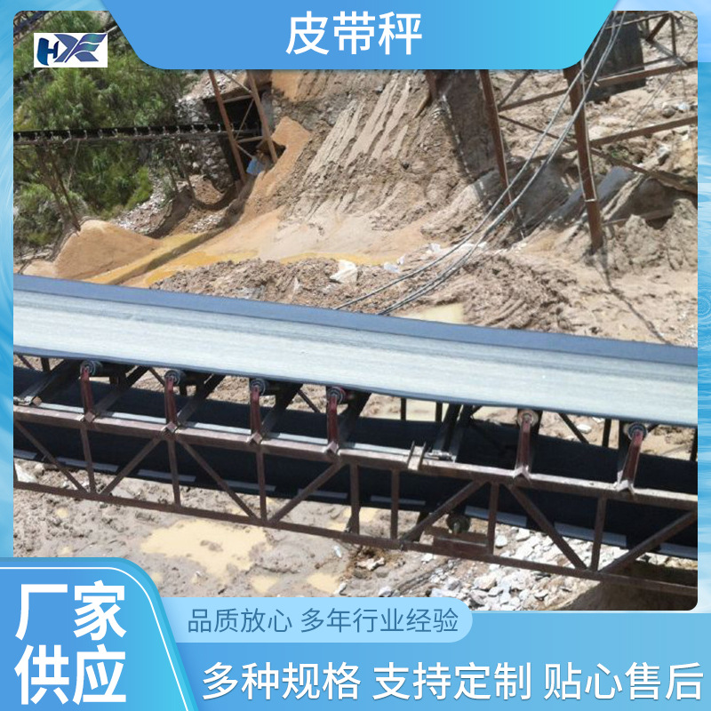 3000皮带秤皮带秤输送带电子皮带秤仪表传感器300厂家