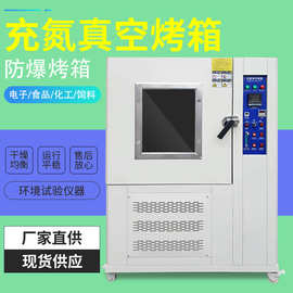 厂家供应充氮真空干燥箱充氮防爆型烘箱充氮烘箱