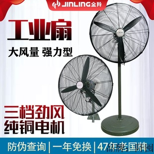 Jinling industrial electric fan powerful floor fan large air volume horn fan commercial workshop high power factory wall fan