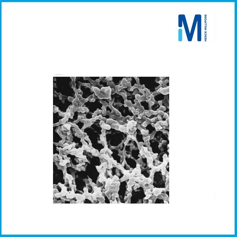 0.45µm HAWP04700 混合纤维素滤膜 Millipore品牌
