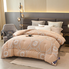 厂家爆款酒店羽丝绒被芯加厚冬被学生宿舍民宿一件代发被芯春秋被