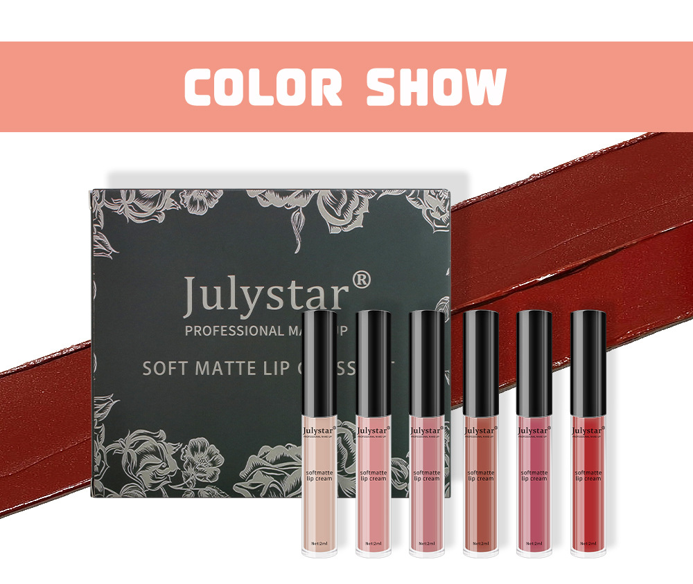 carina Trucco opaco, lucidalabbra multicolore, colore facile da applicare, set di rossetti a tazza antiaderente, a lunga durata_voghion.com