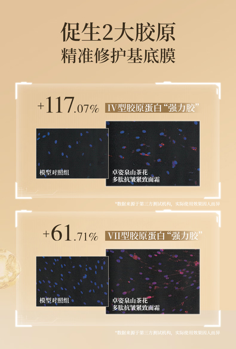 山茶花多肽抗皱紧致面霜-详情_06.jpg