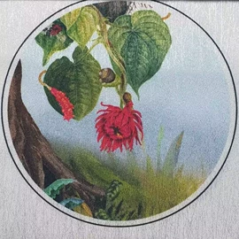 背景软包;布艺窗帘;墙布