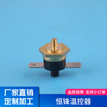 微型突跳式温控器热水器突跳式温控器开关端子接入限位卡扣式批发