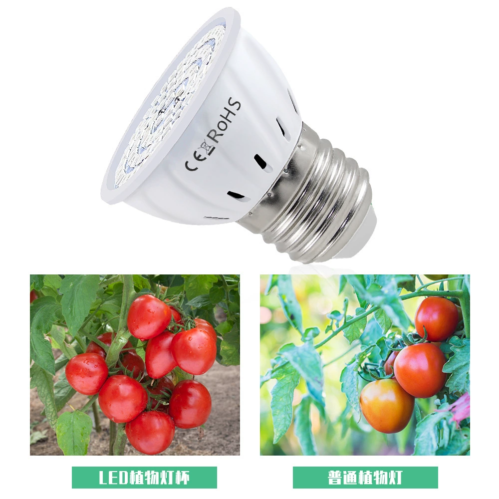 谦润 LED lights, plant lamp, directional bulb, fill light