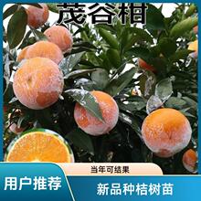 ��Ʒ�N�ش��۽ۘ������Ե���ï�ȸ̘����������Ә��箔��Y��