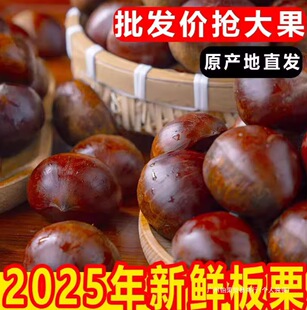 2025���r���|����5���r�������۴�����ڰ���Ұ���w���������F��