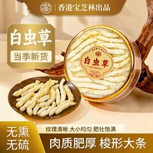 ��ی�֥�ְ��x��50g�b���ظ�ɽ���Q��֦��ˮ�ȵĲ�ʯ�Q�����x��