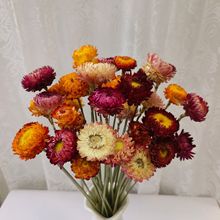 �߲ʾ������շ�ɫ�r�ձ��Wɭϵ�ֹ����ϰ���Ȼ�ɻ���ϏS�����l