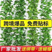 �羳����G�}�~�����ٗl�����~����ֲ���~�ӹܵ�����b����ϻ���