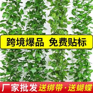 �羳����G�}�~�����ٗl�����~����ֲ���~�ӹܵ�����b����ϻ���