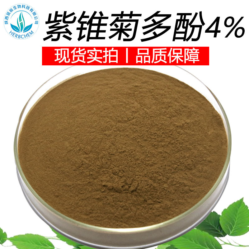 紫锥菊多酚4% 厂家现货批发松果菊提取物另有紫锥菊提取物菊苣酸