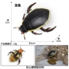 M-2719 dragon lice