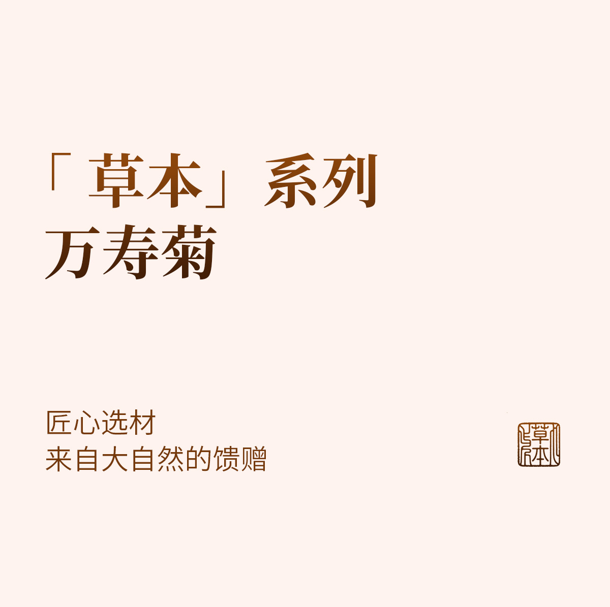 Yunnan Marigold Flowers (Tagetes erecta) — Dried Herbal Flower Tea, 500g Bulk Pack key features