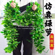 �ٗl�G�}�~�bG�~�����٘��~���ϻ�������ˮ�ܿ��{�ܵ��ړ�����