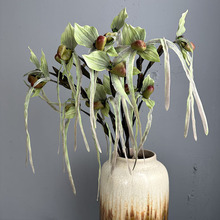 兜兜兰花仿真花口袋兰假花轻奢拖鞋兰绢花酒店花摆创意兜兰批发