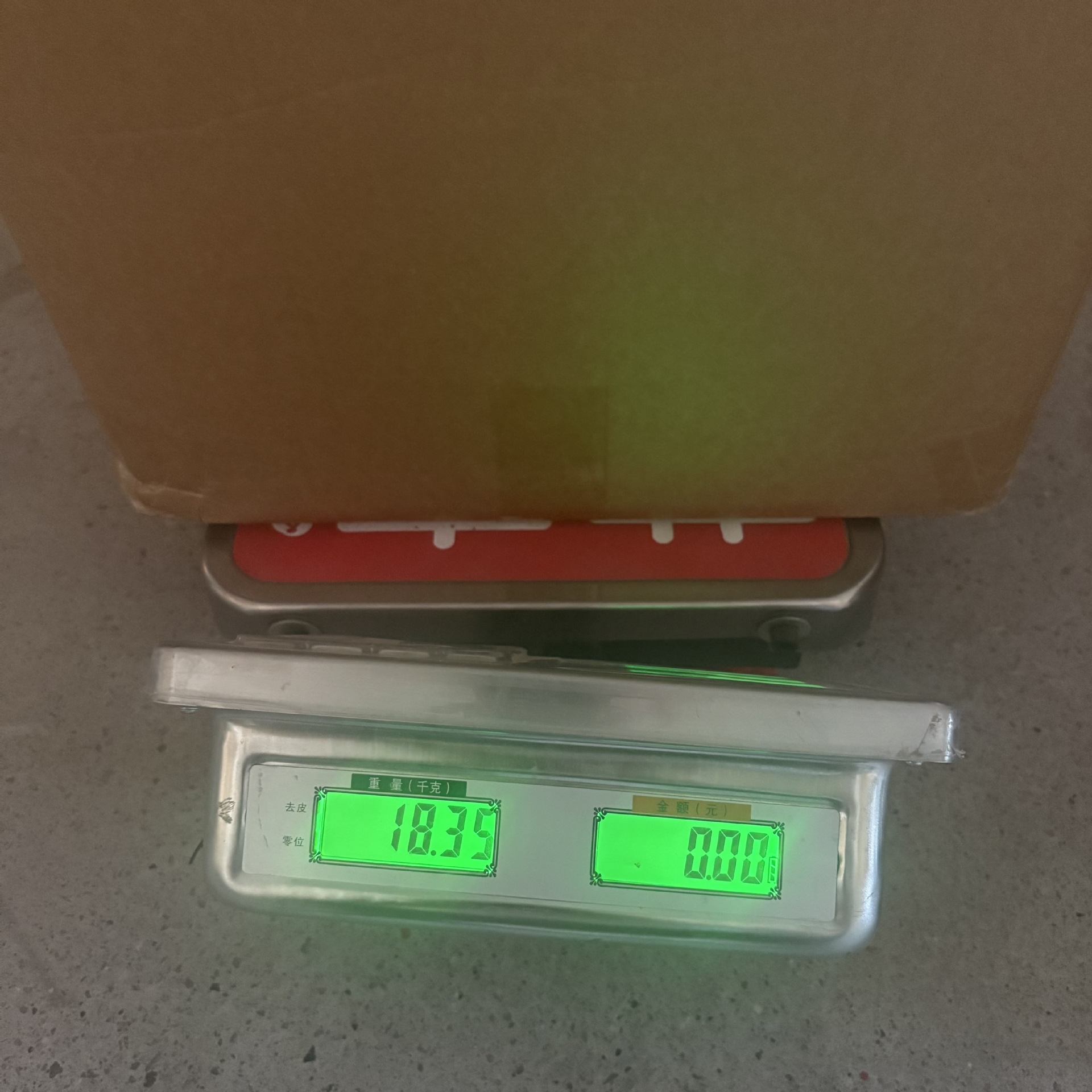 13423321785602501.jpg