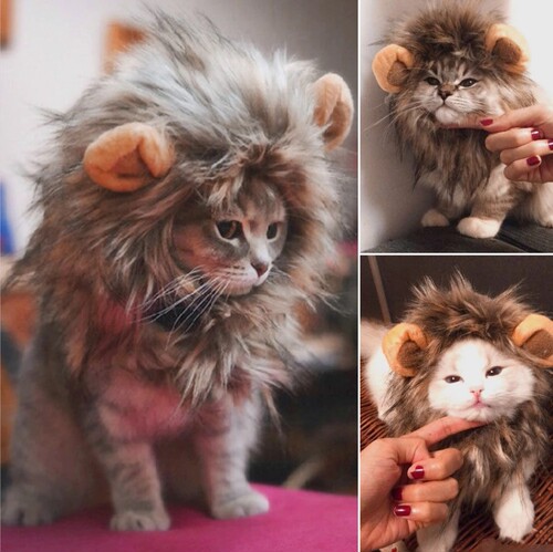 Cat Lion Head Cover Cat Hat Cute Funny Pet Photo Hair Accessories Puppy Dress Up Clothing Ornaments
