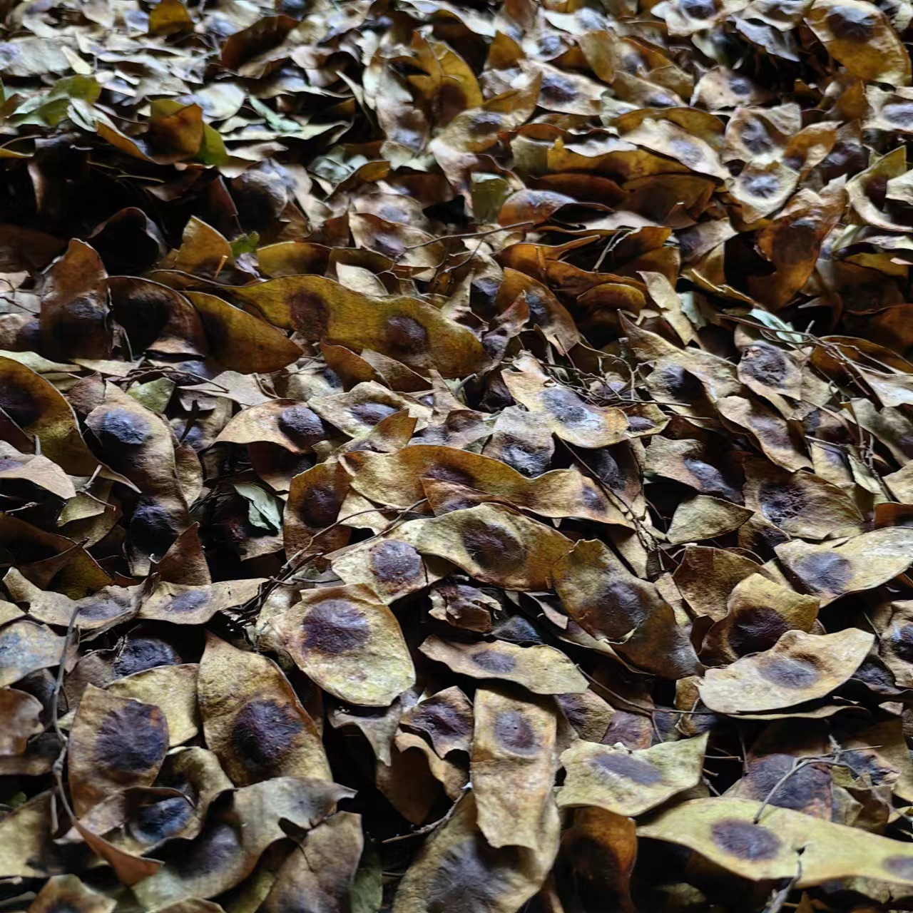 微信图片_20231031160528