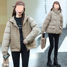 R׼׃ɼ2025¿n޷ŮrLһ