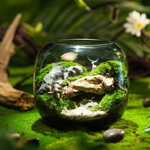 [¹ɭ֡BƿkҾGֲԳƷ辰̦΢^