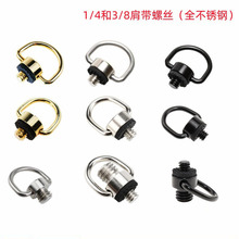 ɫP䓿bC玧ݽz̨Ӣ1/4̶Chֱݽz