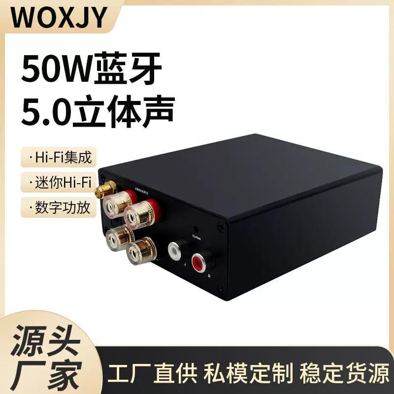 50W蓝牙5.0立体声音频功放接收器D类迷你Hi-Fi集成放大器数字功放
