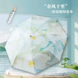 晴雨伞;遮阳/太阳伞;雨伞