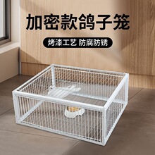 天落笼鸽子笼鸽子活络门只进不出撞门鸽笼铁笼跳笼自动门神器捕捉
