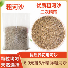 天然粗河沙子花用植物多肉颗粒土铺面石透气天然黄细砂鱼缸底沙