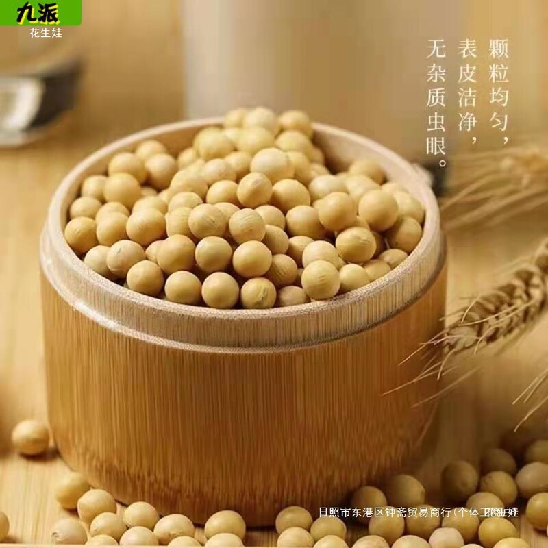 东北农家黄豆1000g新货黄豆颗粒饱满 黄豆打豆浆黄豆多规|undefined