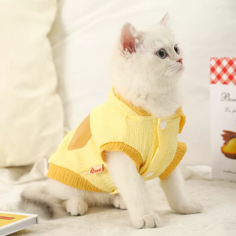Ropa de gato verano delgada mascota gato gatito lindo británico corto plata gradualmente capa transpirable verano chaleco verano