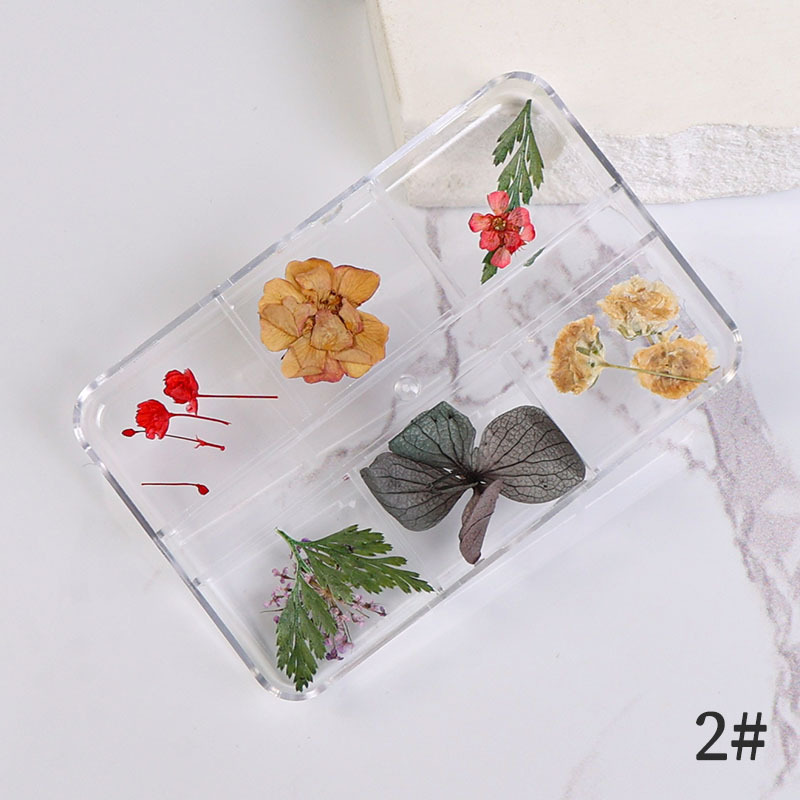 Uña flor seca japonesa pequeña fresca estrella de sol mixta flor real flor pequeña flor de manicura caja de flores secas manicura