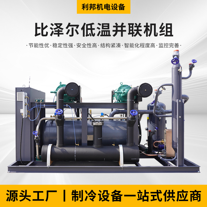 厂家供应比泽尔低温并联机组制冷压缩机 全套冷库设备速冻螺杆机