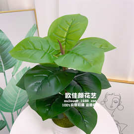 仿真植物叶15头大绿萝把束叶子 植物墙装饰配材假花万年青 盆栽花